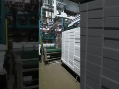 Macchine di stampaggio EPS (produzione e imballaggio automatici)