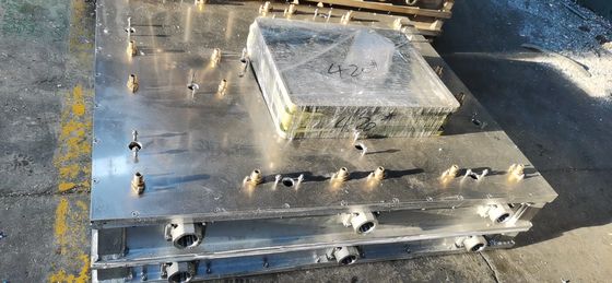 Risparmio energetico Stampo EPS personalizzato per scatole a schiuma di pesce/frutta/verdura