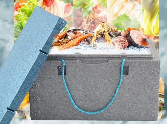 Lega di alluminio della muffa 6063 di EPP ENV della scatola di pesce per frutti di mare e frutta fresca